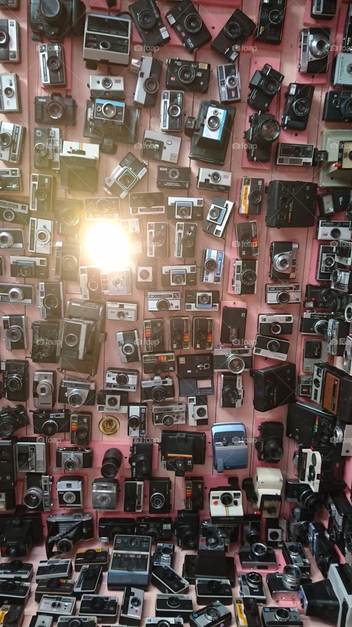 ceiling full of vintage cameras