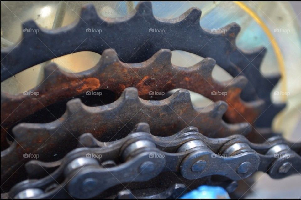 Gears