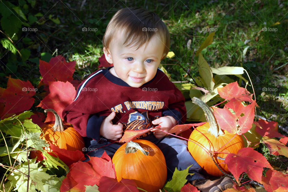 In the pumpkin patch... a small child in the grass with pumpkins