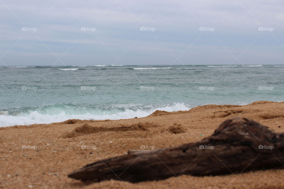 Sandy Hawaiian beach and driftwood 