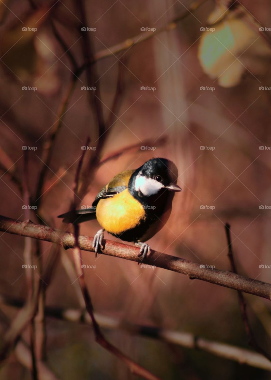 A little bit closer ;)