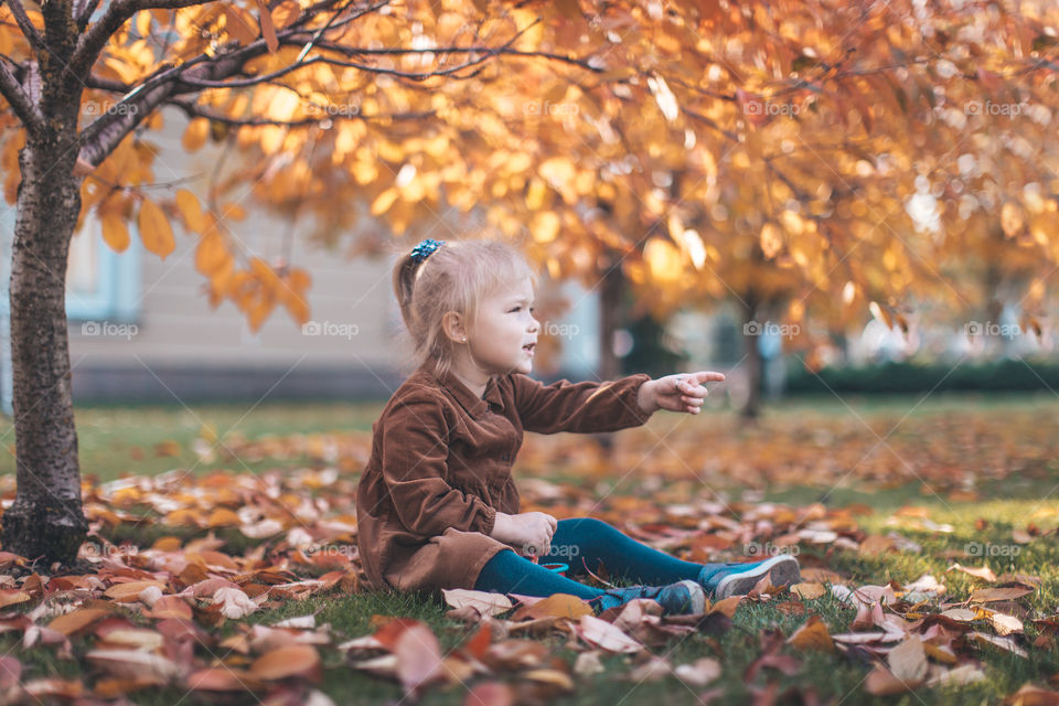 girl sitting under an autumn tree in orange foliage