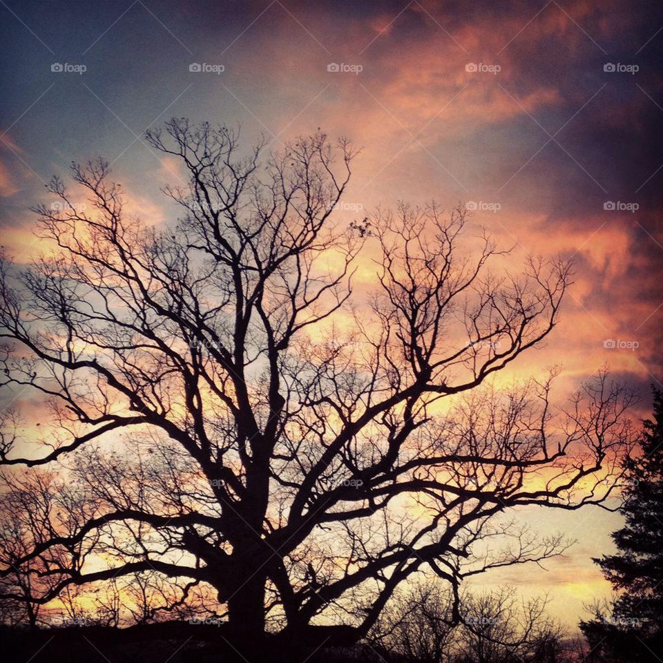 loudon virginia cemetery pretty tree sunset by loveferrets1