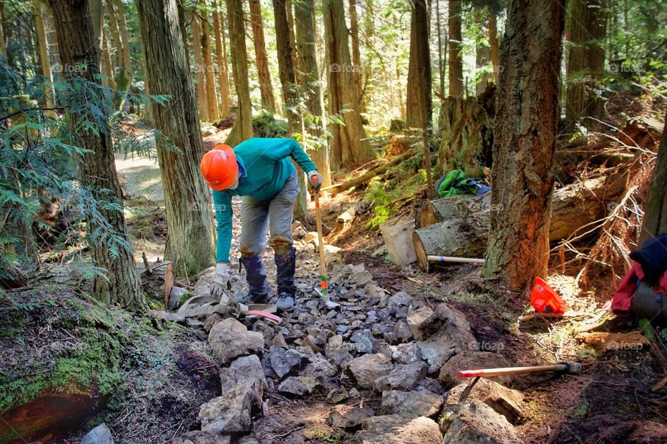 Volunteer in the forest