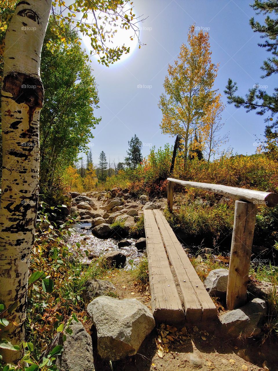 Hiking Trail Grand Tetons National Park