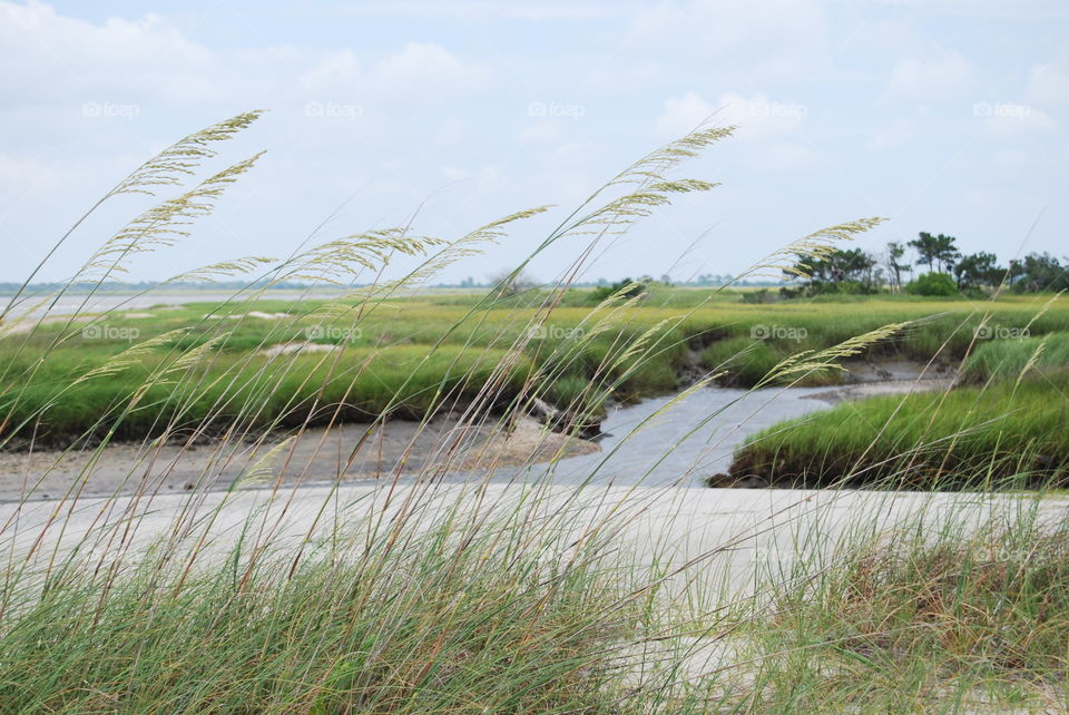 Jekyll island 