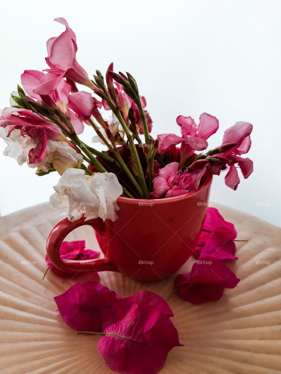 Flowers in Vase