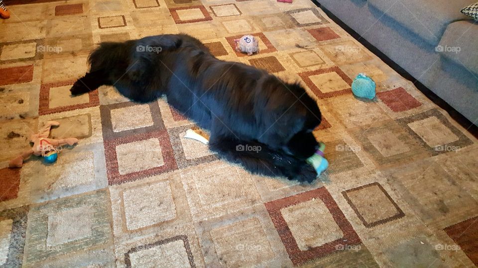 No Person, Indoors, One, Architecture, Floor