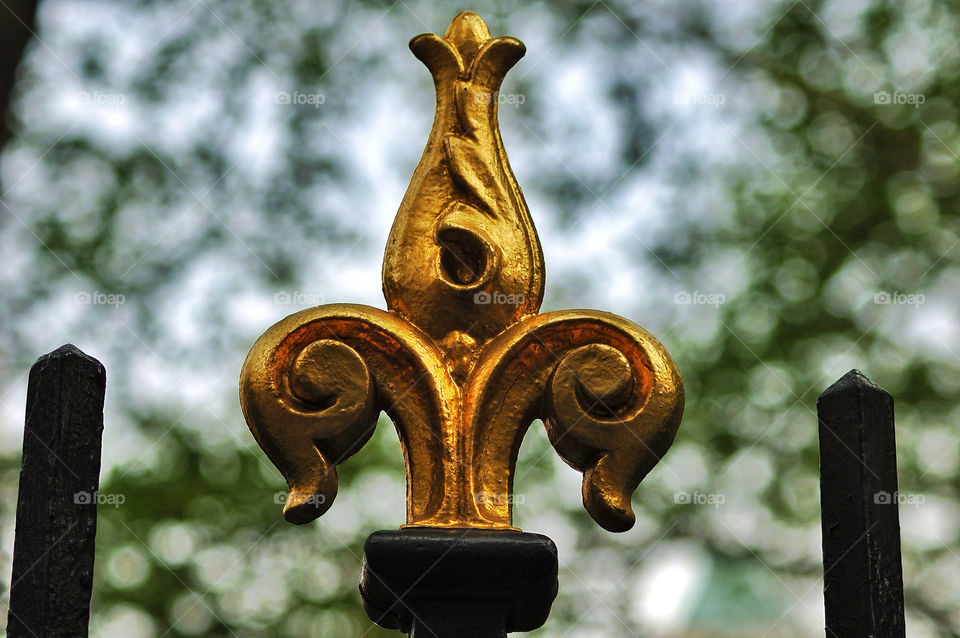 macro close fence gold by delvec