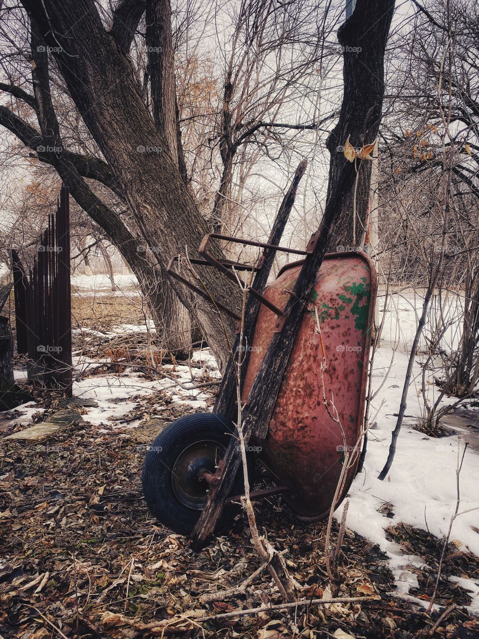 Abandon wheelbarrow 