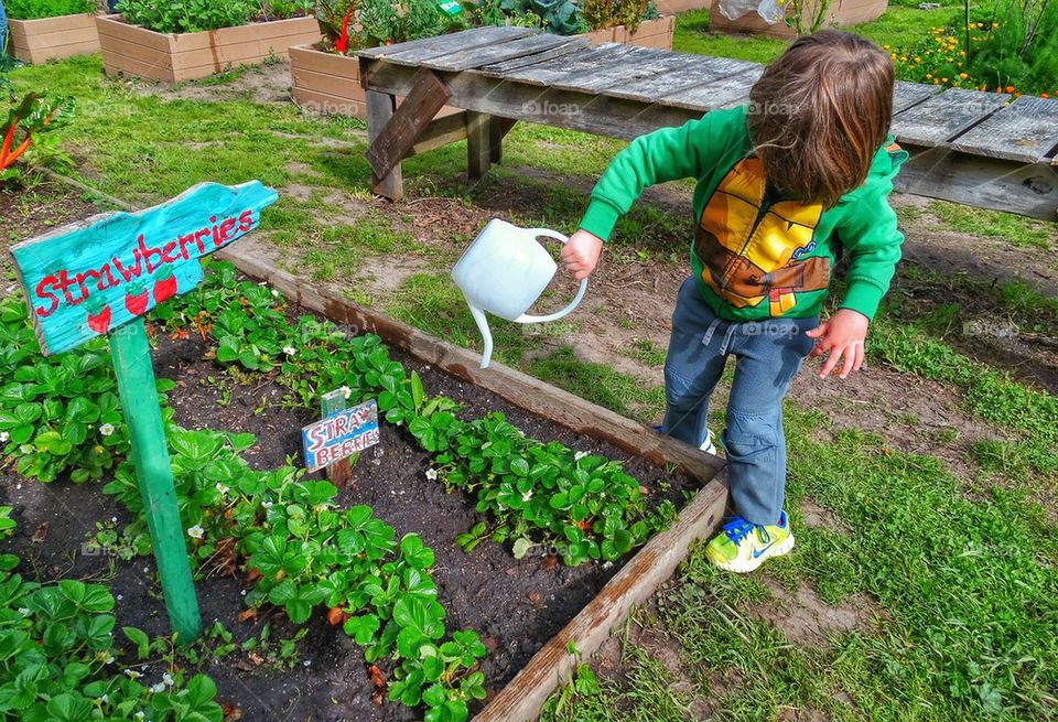 Boy watering garden