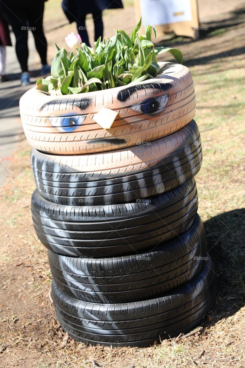Felonious gru from Dispicable me at Floriade flower festival, Canberra Australia 