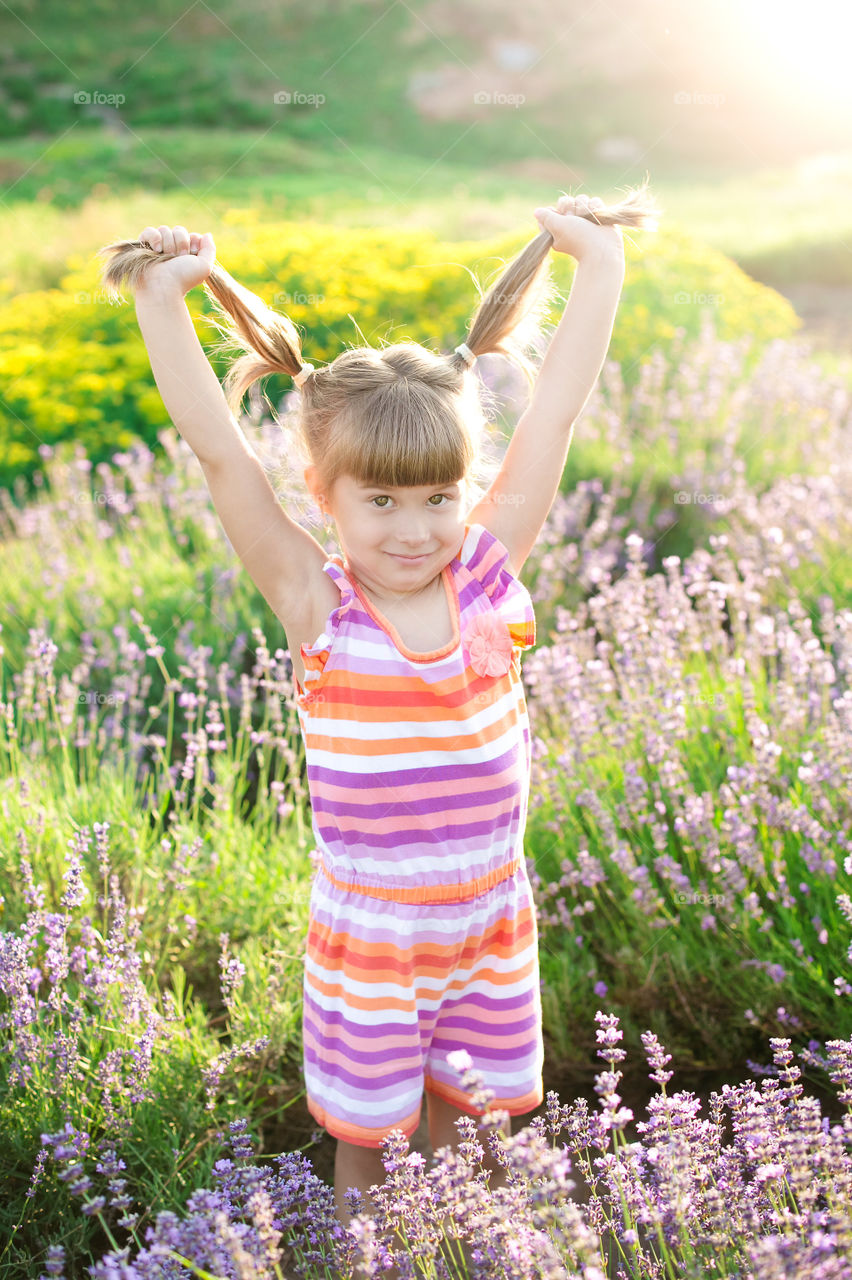 Summer, Nature, Grass, Outdoors, Hayfield