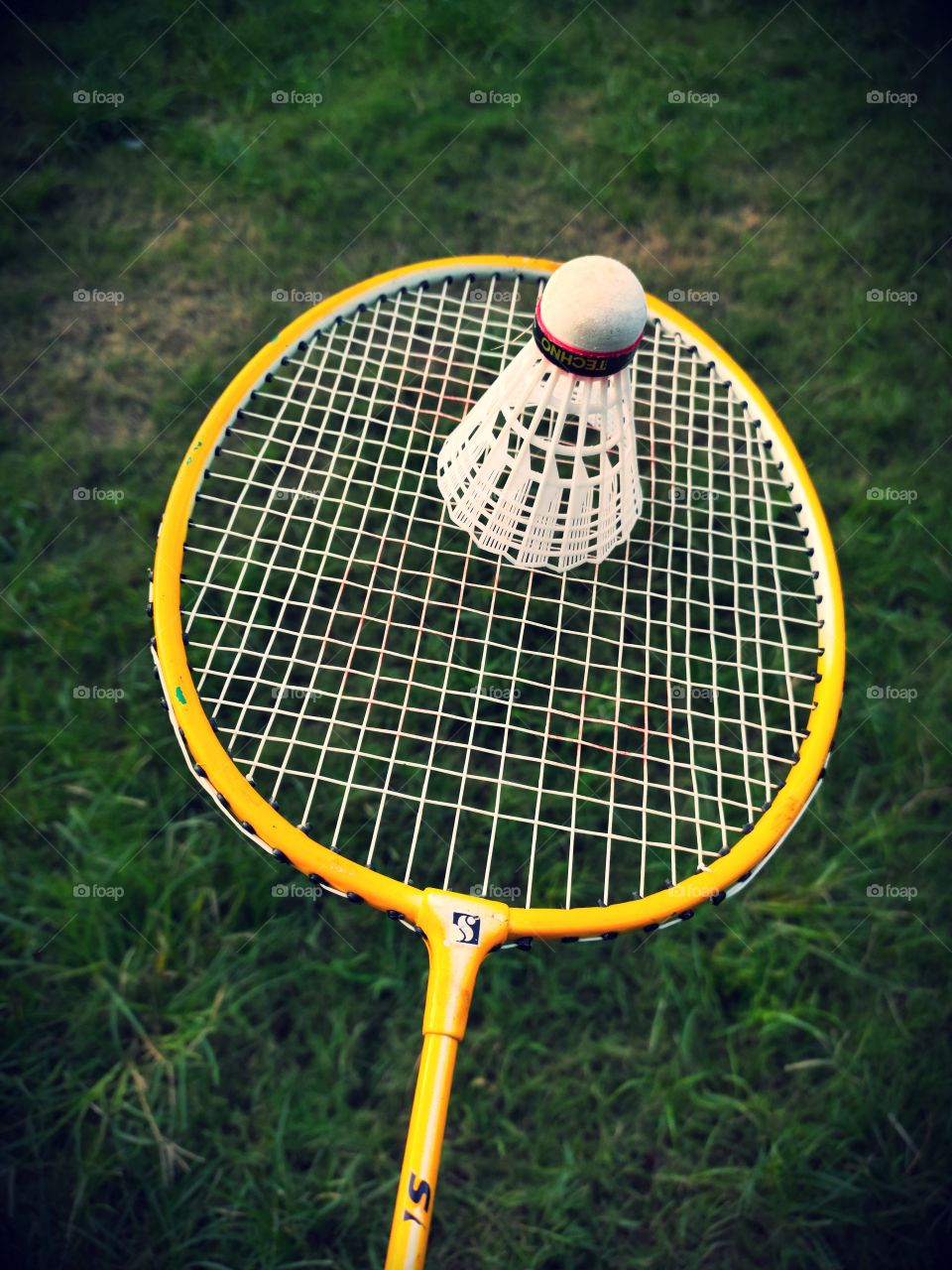 Sports In Life🤺🤺
Badminton Racket🏸🏸🏸🏸
Yellow Colour
Cock 
Indoor Game
Green Ground
Grass