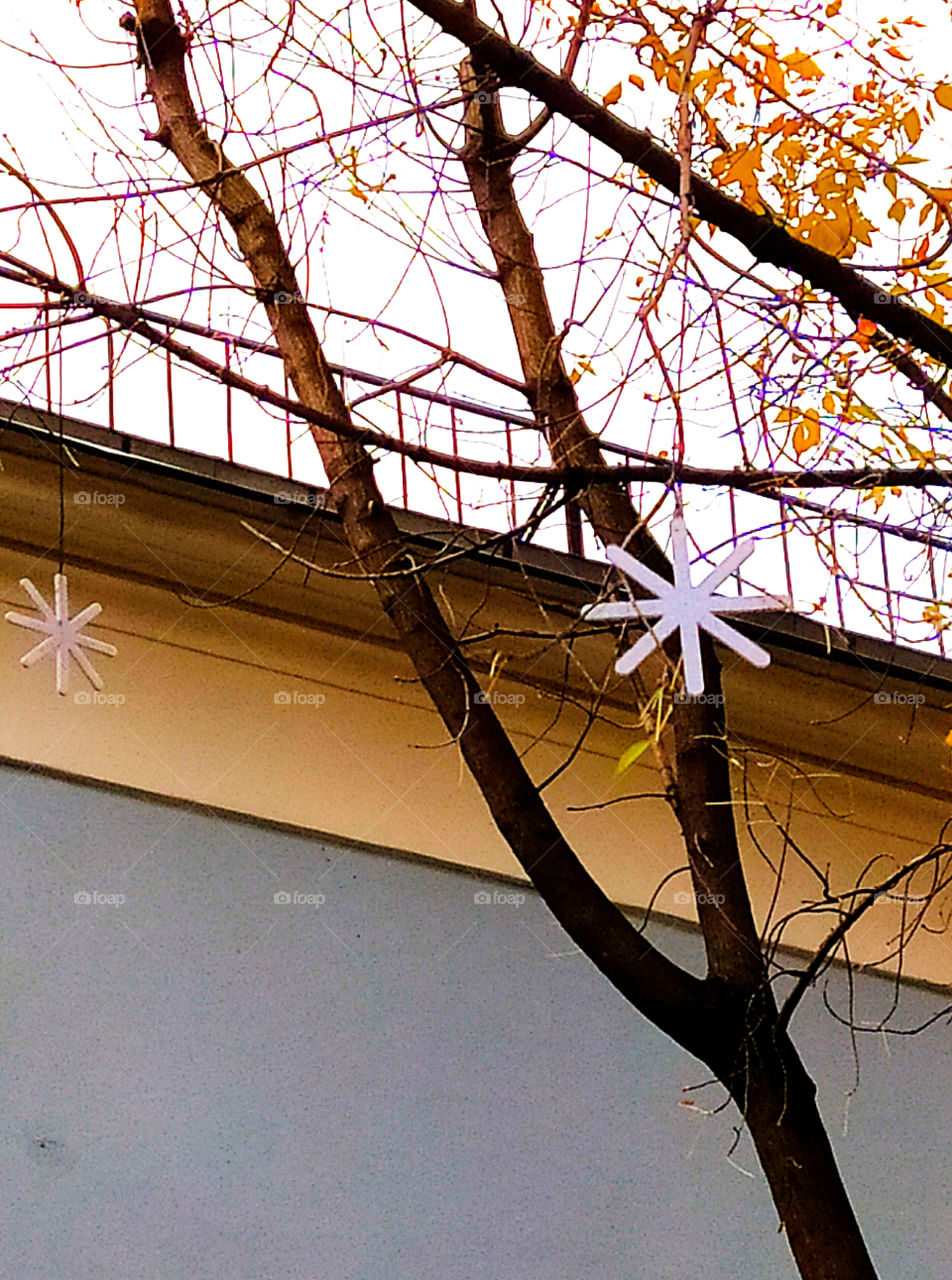 Wooden snowflakes on wood