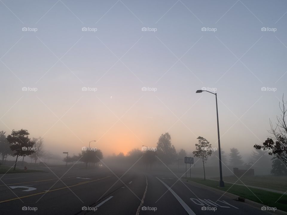 Driving home from a trip for coffee, early in the morning. The fog hasn’t yet lifted. 