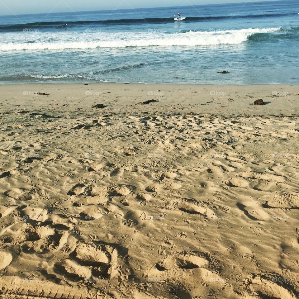 Beach Morning . Seagull footprints