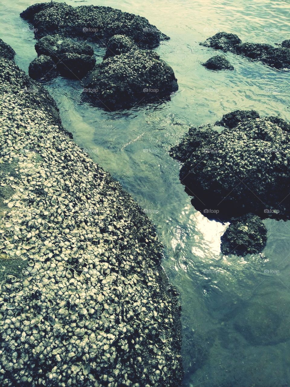 stone sea