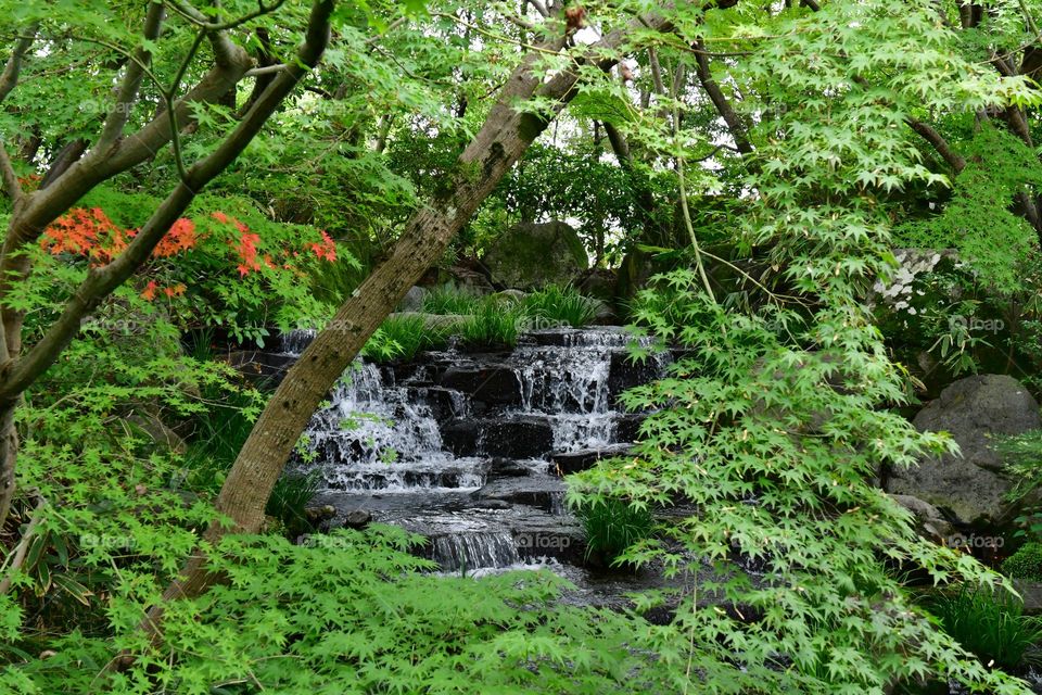 Green lush forest with waterfalls