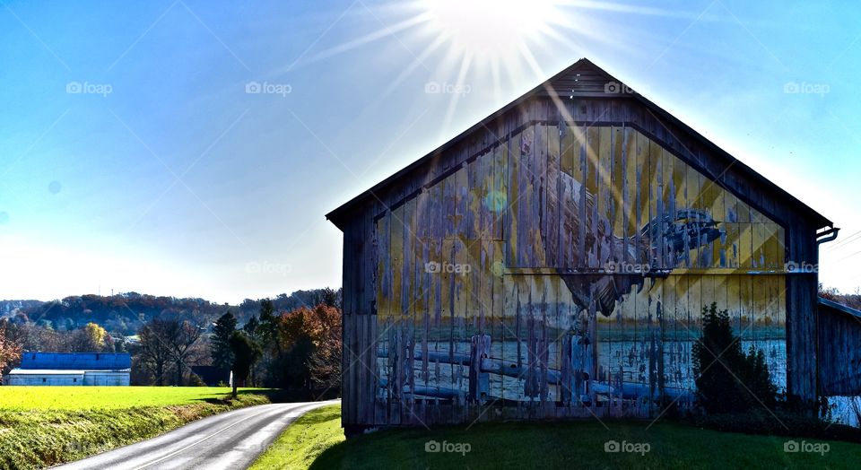 Barn Delight