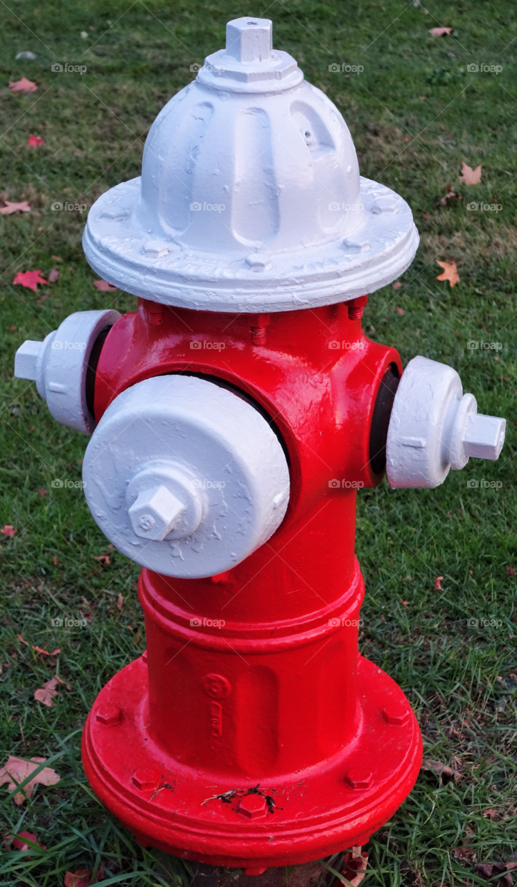 red white water fire hydrant by delvec