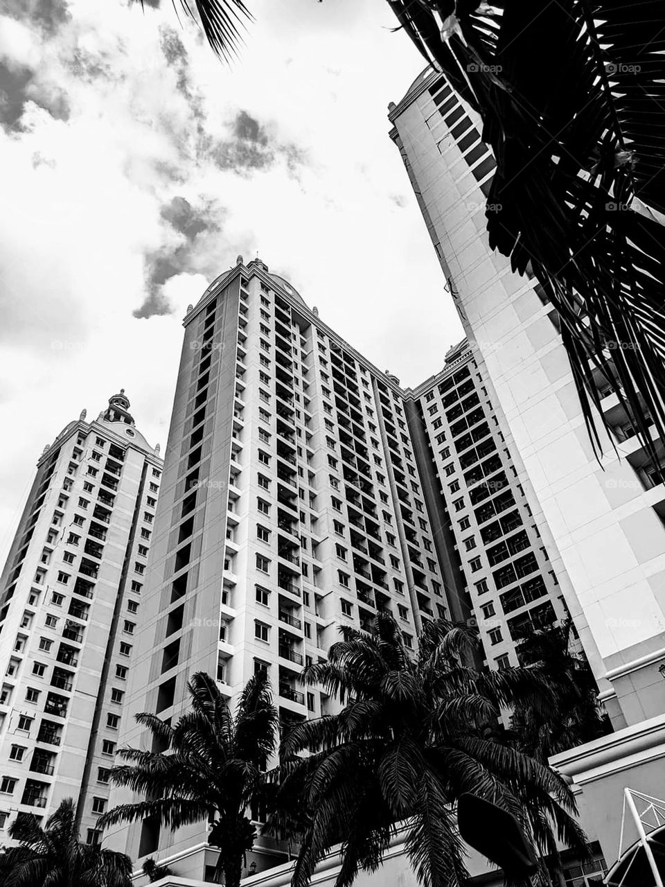 black and white portrait of a building