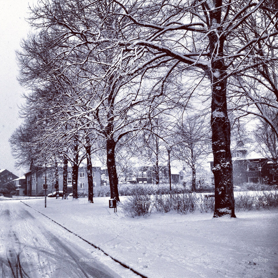 snow winter street sweden by linderborg
