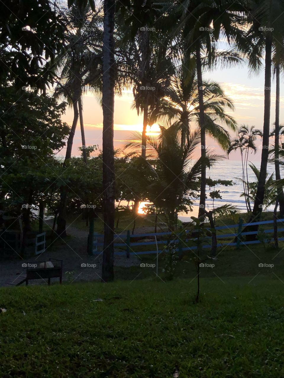 Palm tree sunset Costa Rica