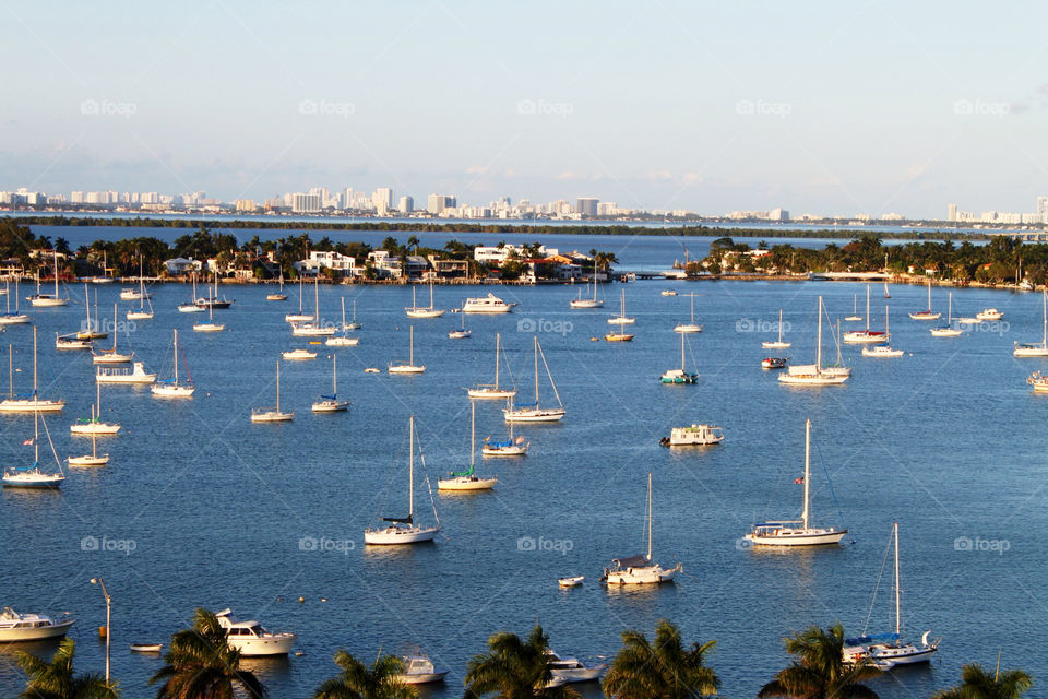 Small boats at anchor in Miami