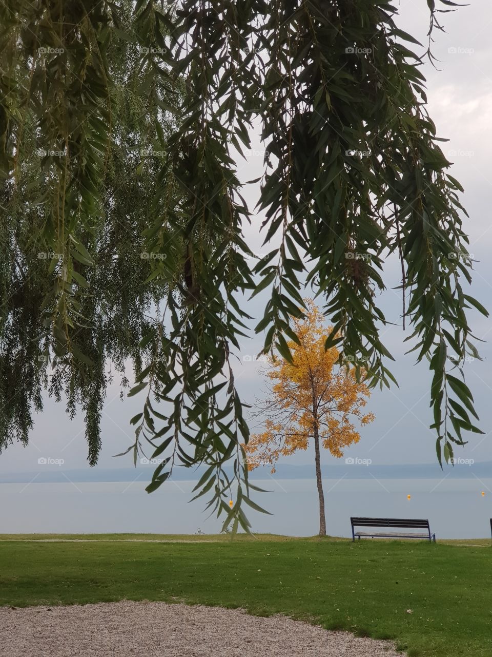 feeling the smell of autumn