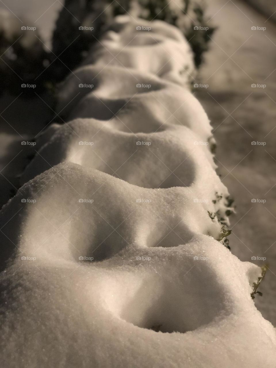 Snow becomes the landscaping 
