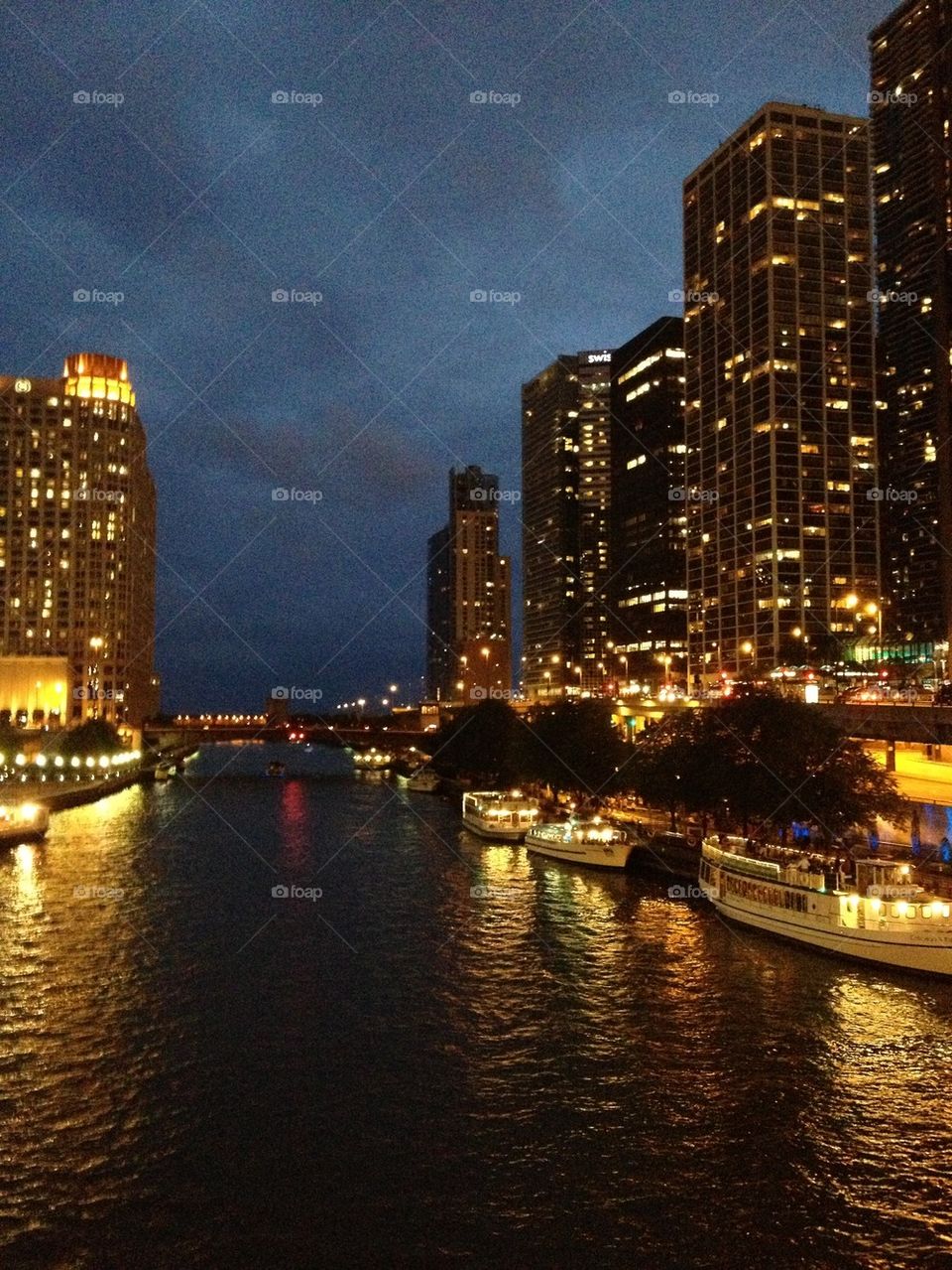 Chicago nights