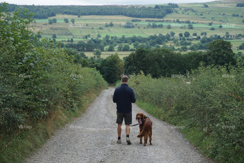 Nearing the end of a long walk … even Quinn looks tired 🐶