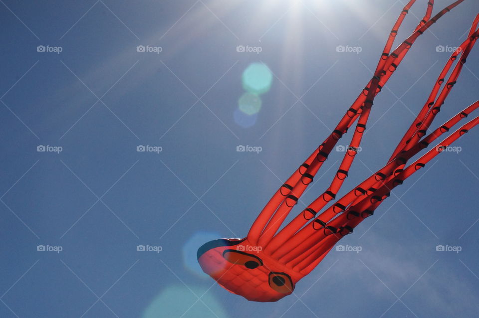 Kites. Giant Red Squid