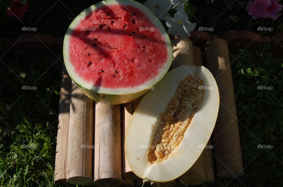 melon and watermelon