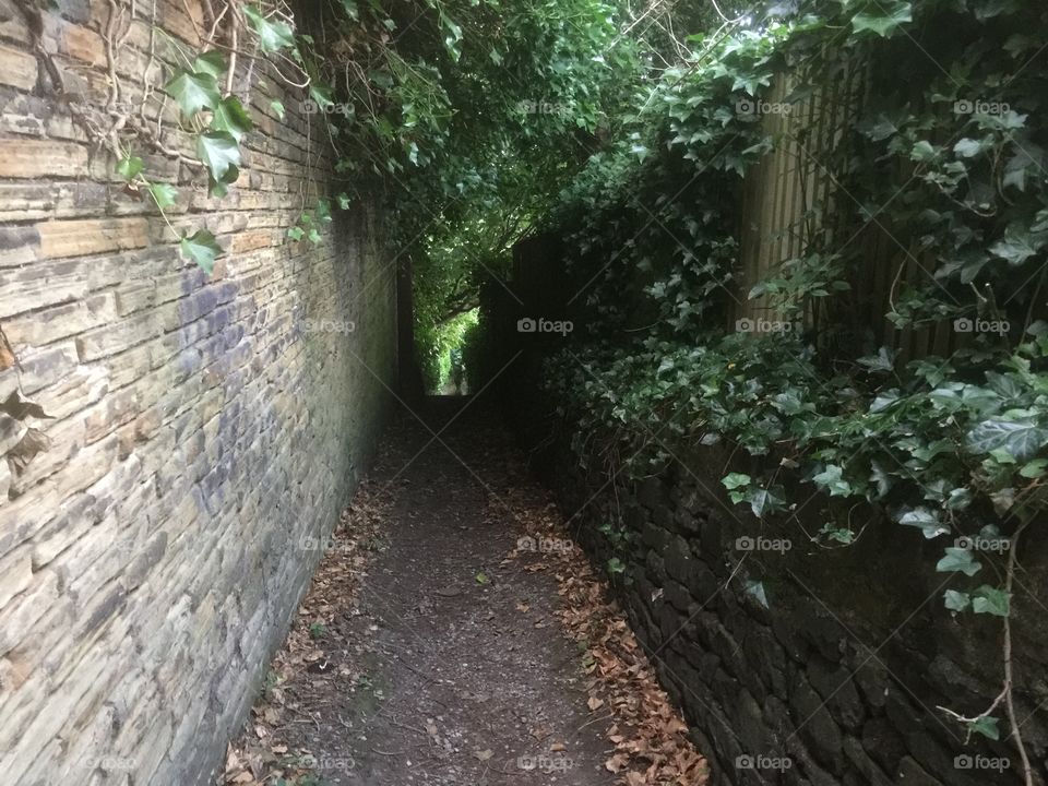 Pathway with high stone wall