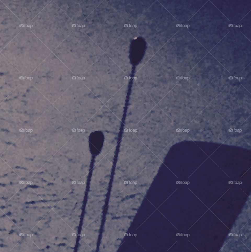 Lavender design. In actuality is a ceiling fan blade with two chains going towards ceiling.