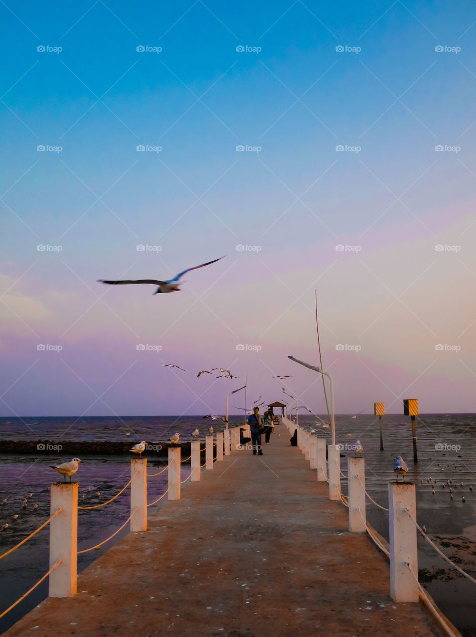 sunset view at the bridge to the sea