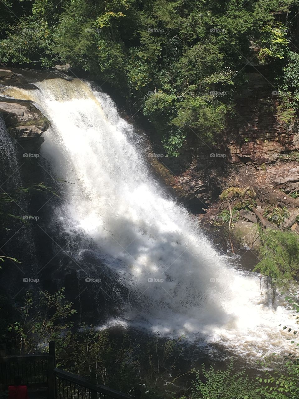 Muddy Creek Falls at Swallow Falls State Park in Western Maryland Mountsins