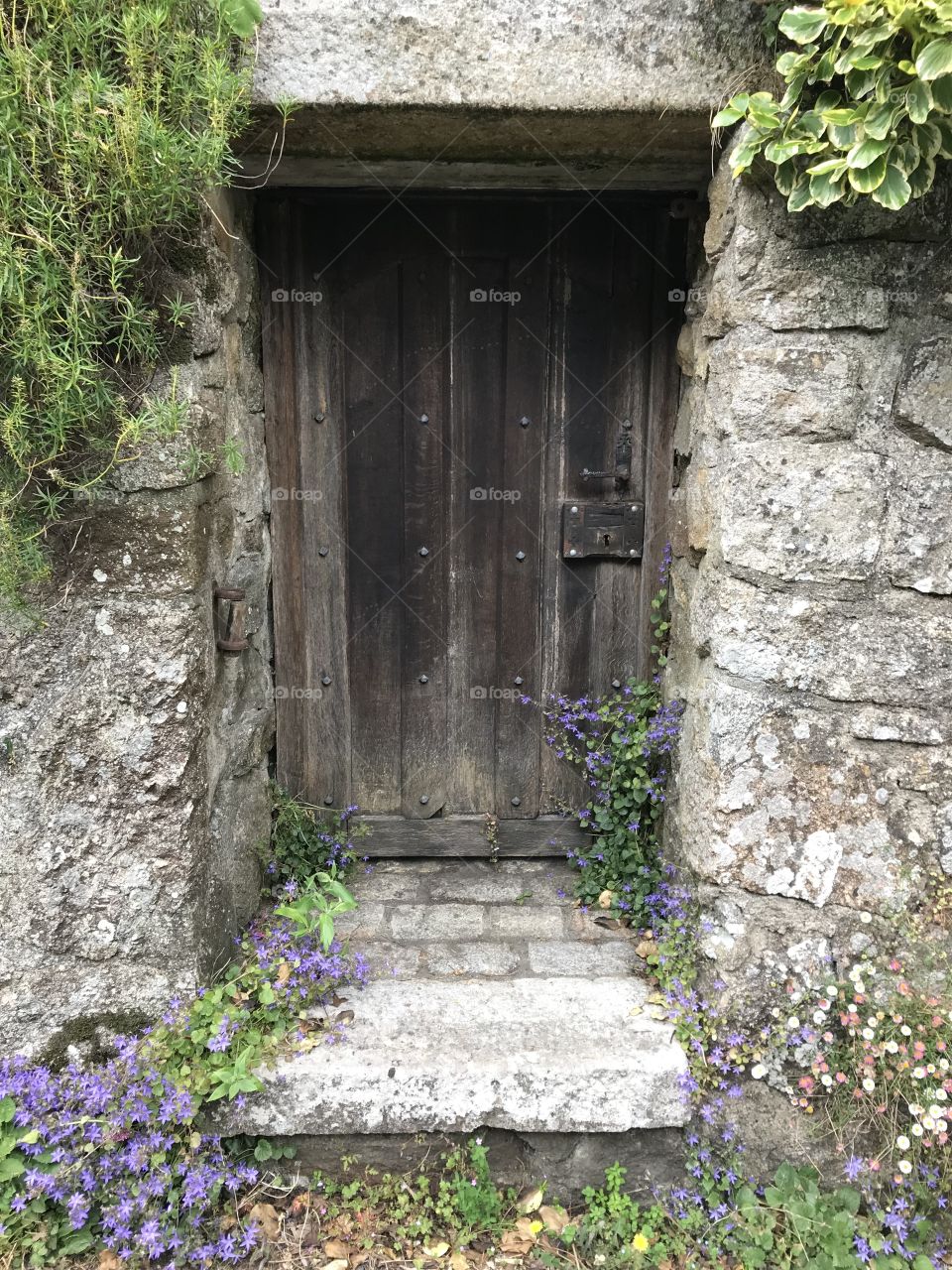 I found this lovely little Devon door, associated with a Devon farmhouse, l thought it was cute.