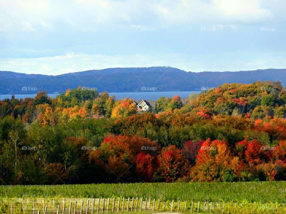 Gorgeous vibrant colors in the fall.