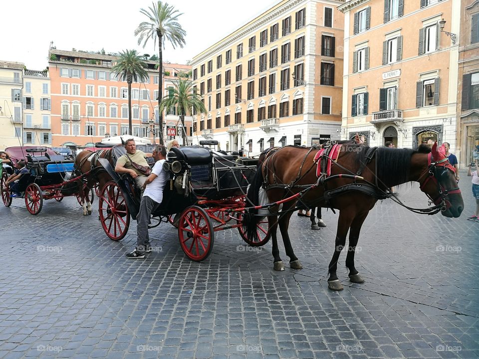 Gigs in Piazza di Spagna (Italy, Rome)