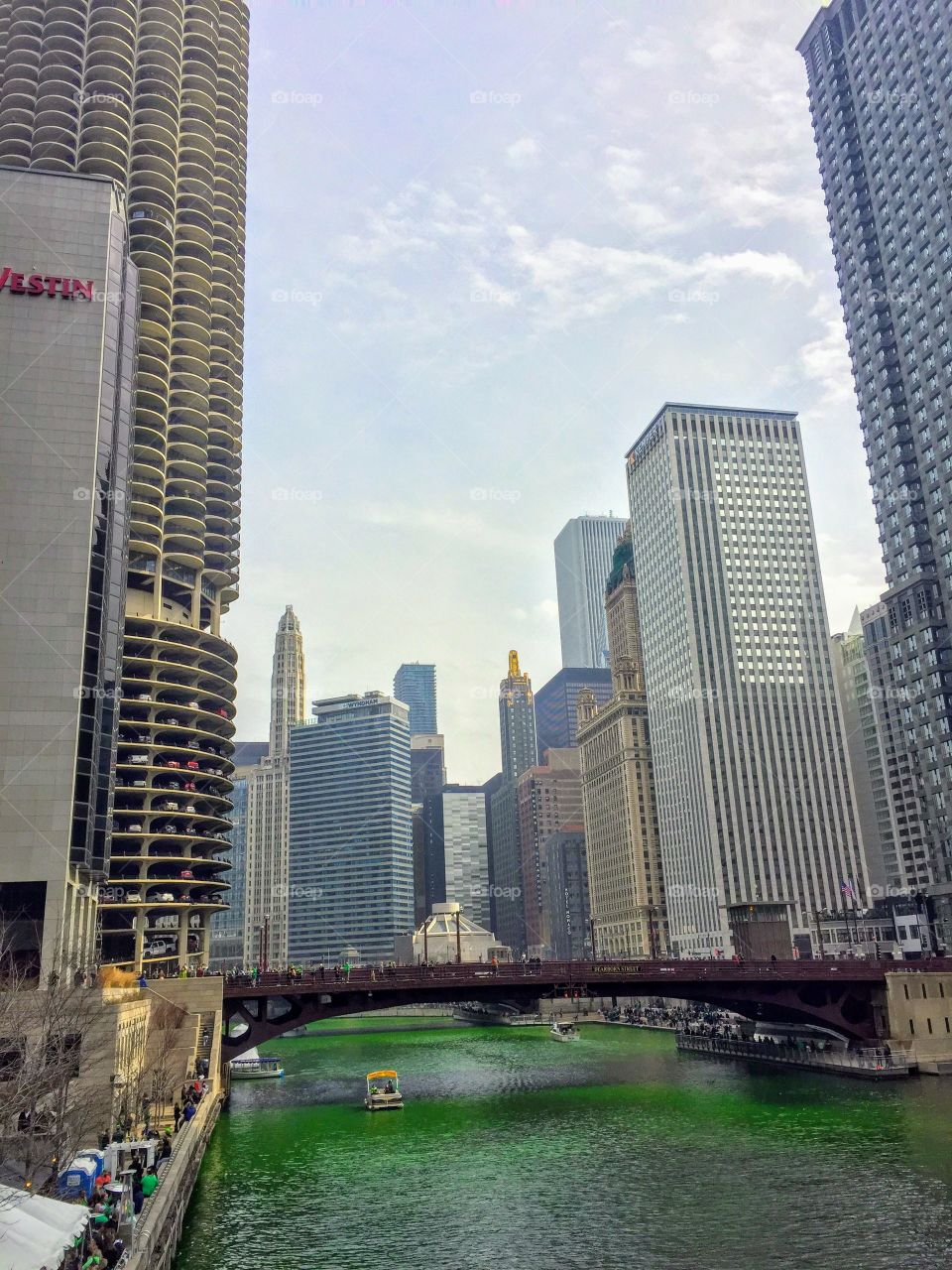 St. Patrick's Day Chicago 