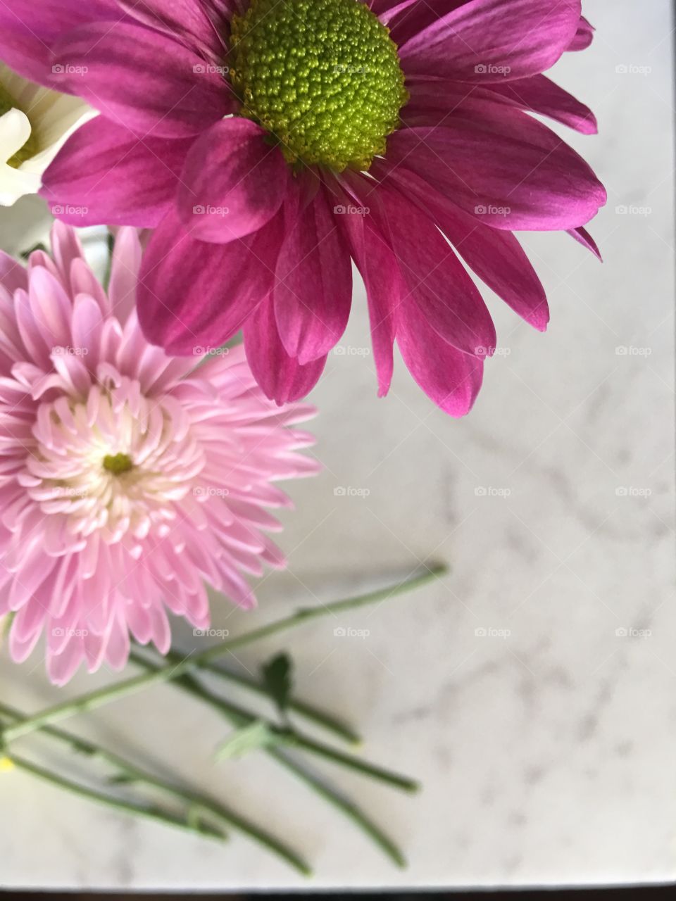 Fresh pink flowers make for the perfect spring bouquet.