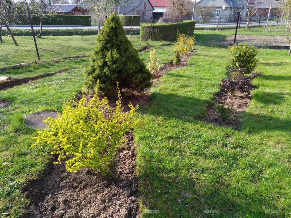 garden