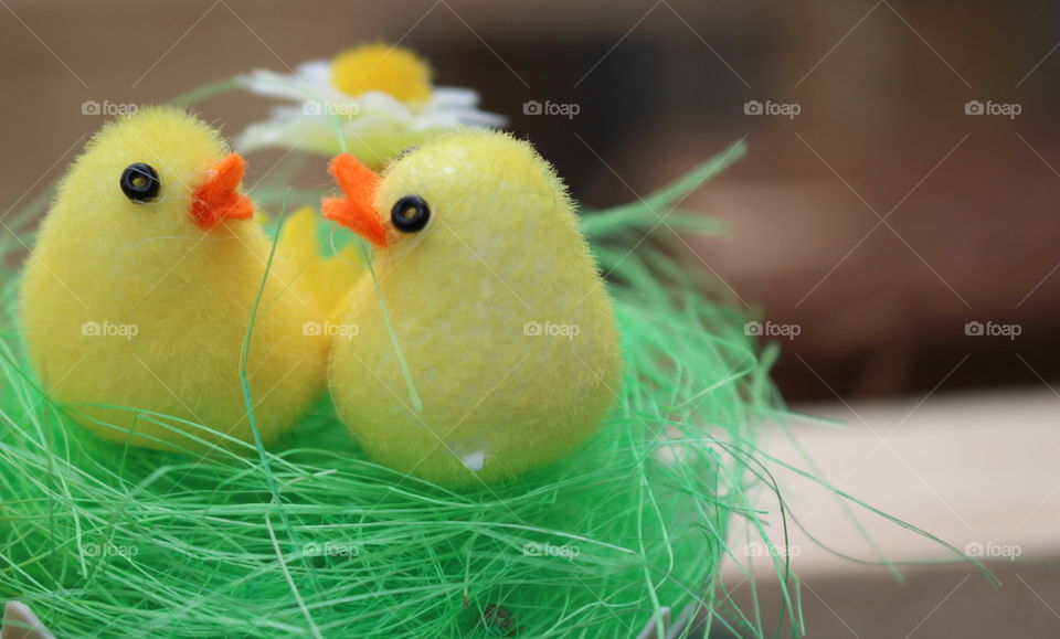 Easter chicken couple.