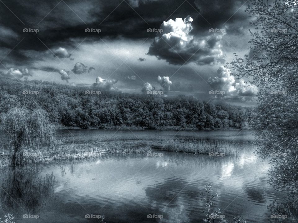 Moon light on the lake