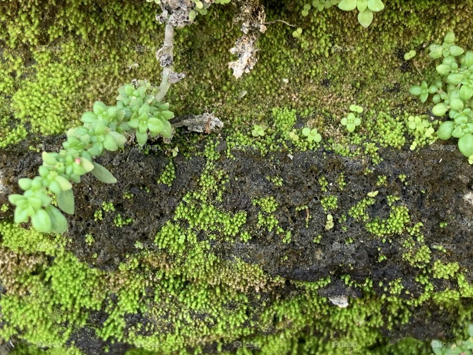 The stories of the nature, Countryside ( Thailand)