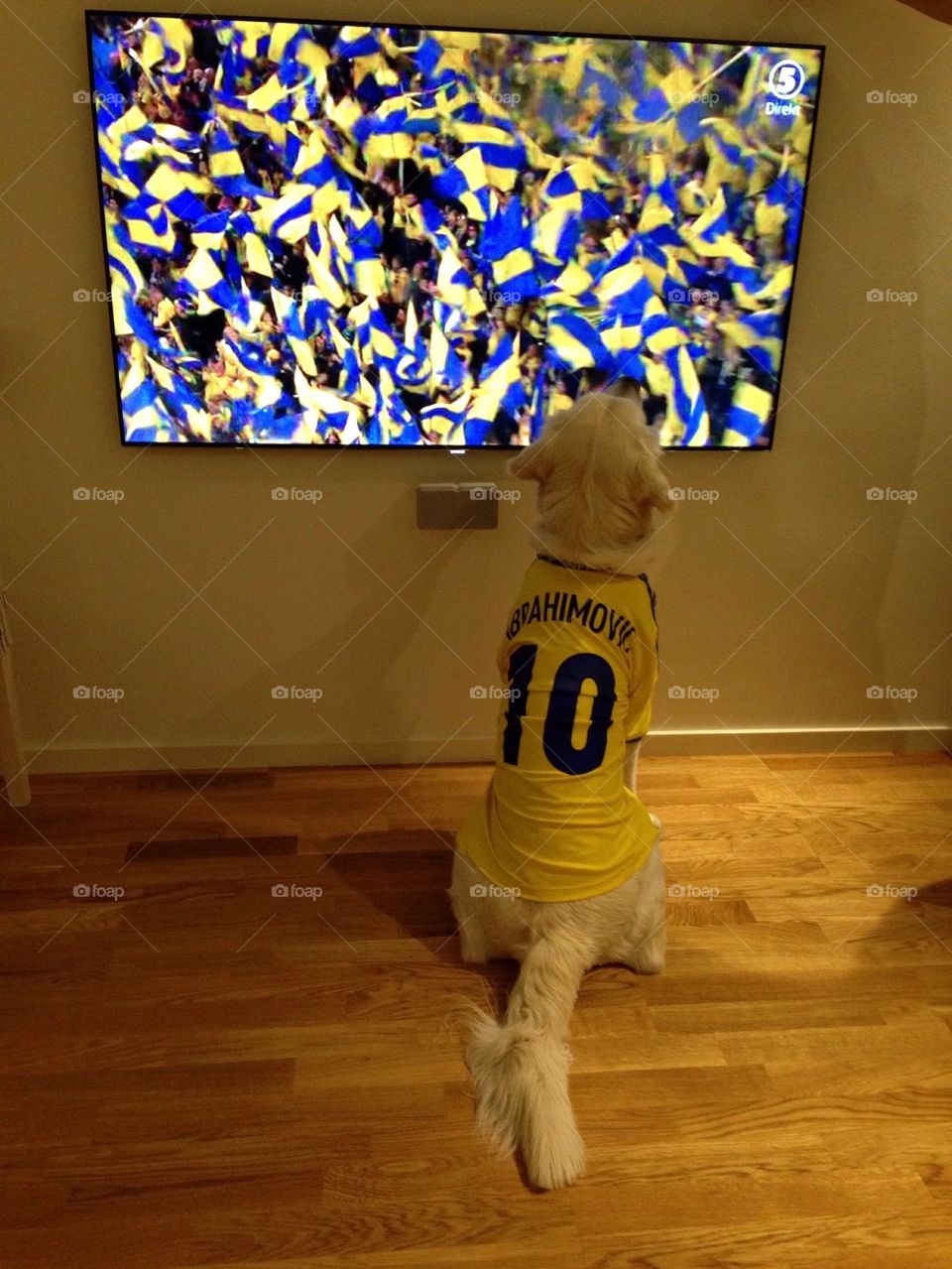 Zlatan Ibrahimovic fan