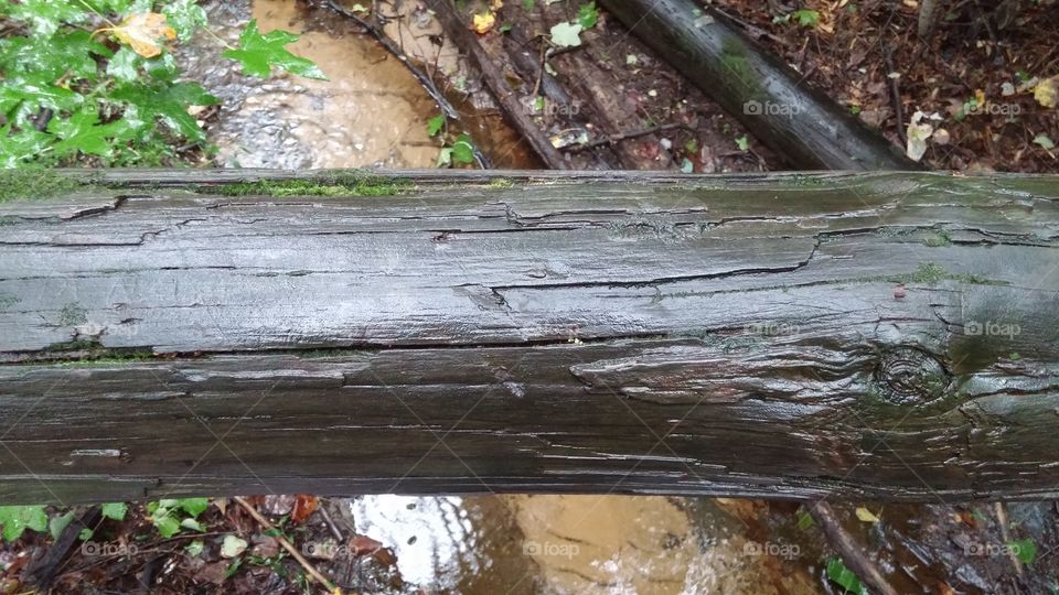 Wet wood